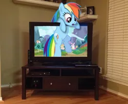 Size: 1026x832 | Tagged: artist:kuren247, behaving like a cat, cat, derpibooru import, fourth wall, irl, photo, ponies in real life, rainbow cat, rainbow dash, safe, solo, television, vector