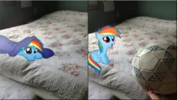 Size: 1920x1080 | Tagged: artist:mr-kennedy92, bed, blanket, cute, derpibooru import, filly, football, hand, human, irl, photo, ponies in real life, rainbow dash, safe, vector