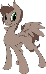 Size: 672x1085 | Tagged: safe, artist:themessengerboy, derpibooru import, oc, unofficial characters only, pegasus, pony, solo