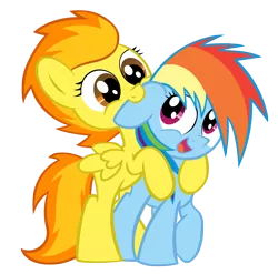 Size: 4000x3947 | Tagged: safe, artist:boulderthedragon, artist:doctorraz, derpibooru import, rainbow dash, spitfire, pegasus, pony, cute, cutefire, dashabetes, diabetes, ear bite, filly, nom, simple background, transparent background, vector, wings, young, younger