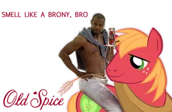 Size: 487x318 | Tagged: safe, artist:multigal, derpibooru import, big macintosh, earth pony, pony, advertisement, isaiah mustafa, male, old spice, old spice guy, stallion