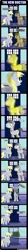 Size: 1655x14794 | Tagged: safe, artist:theshadowstone, derpibooru import, derpy hooves, doctor whooves, time turner, ponified, pegasus, pony, comic, crossover, doctor who, eleventh doctor, female, mare, regeneration, tardis, twelfth doctor, vulgar