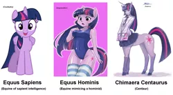 Size: 1585x874 | Tagged: alicorn, ambiguous facial structure, anthro, arial, artist:couldysky, artist:kazeco, artist:shepherd0821, blouse, centaur, chimaera centaurus, clothes, cutie mark, derpibooru import, eared humanization, equus hominis, equus sapiens, horned humanization, humanized, hybrid, necktie, one-piece swimsuit, pleated skirt, realistic horse legs, safe, science, skirt, socks, striped socks, sukumizu, swimsuit, taxonomy, twilight sparkle, twilight sparkle (alicorn), unguligrade anthro