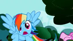 Size: 1136x640 | Tagged: d:, derpibooru import, edit, edited screencap, faic, go to bread, inverted mouth, looking at you, may the best pet win, ponyface, rainbow dash, safe, screencap, spread wings