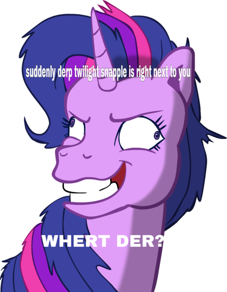 Size: 721x929 | Tagged: safe, artist:colossalstinker, derpibooru import, twilight sparkle, pony, derp, ermahgerd, g3, g4 to g3, generation leap, image macro, meme, solo, twilight snapple, what do