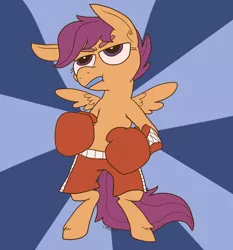 Size: 1090x1168 | Tagged: safe, artist:comickit, derpibooru import, scootaloo, pony, bipedal, boxing, boxing gloves, clothes, mouth guard, shorts, solo