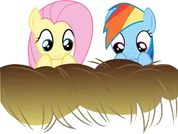 Size: 7605x5725 | Tagged: safe, derpibooru import, fluttershy, rainbow dash, absurd resolution, .ai available, hay, simple background, transparent background, vector