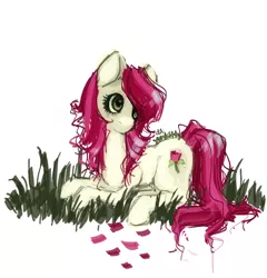Size: 800x834 | Tagged: safe, artist:yunkitty, derpibooru import, roseluck, earth pony, pony, female, grass, hair over one eye, mare, prone, signature, simple background, solo, white background