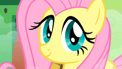 Size: 853x480 | Tagged: a bird in the hoof, animated, bright eyed, cute, derpibooru import, dilated pupils, eye shimmer, fluttershy, looking at you, safe, screencap, shyabetes, smiling, solo, staring into your soul
