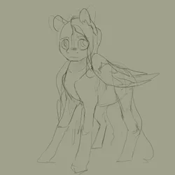 Size: 748x748 | Tagged: artist:erijt, derpibooru import, fluttershy, monochrome, safe, sketch, solo