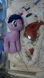 Size: 577x1024 | Tagged: 4de, derpibooru import, human, irl, irl human, photo, plushie, safe, twilight sparkle