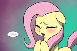 Size: 1024x682 | Tagged: artist:doublewbrothers, blushing, cyoar, derpibooru import, edit, female, floppy ears, fluttershy, i came, implied orgasm, reaction image, solo, solo female, suggestive