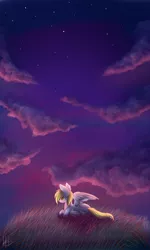 Size: 1700x2834 | Tagged: safe, artist:ghst-qn, derpibooru import, derpy hooves, pegasus, pony, cloud, female, grass, mare, prone, sad, scenery, signature, sky, smiling, solo, stars, sunset, twilight (astronomy)