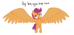 Size: 1071x510 | Tagged: safe, artist:shoutingisfun, derpibooru import, scootaloo, pegasus, pony, alicorn wings, bipedal, hilarious in hindsight, impossibly large wings, large wings, simple background, solo, white background, wings