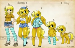 Size: 3000x1941 | Tagged: safe, artist:shepherd0821, derpibooru import, oc, oc:ticket, unofficial characters only, alicorn, anthro, human, pony, semi-anthro, unguligrade anthro, alicorn oc, anthro chart, anthro oc, anthro with ponies, armpits, backwards ballcap, baseball cap, belly button, bipedal, chart, cleavage, clothes, female, hat, humanized, light skin, line-up, midriff, shiny, shorts, socks, solo, sports panties, stockings, striped socks