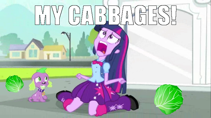 Size: 683x384 | Tagged: safe, derpibooru import, spike, twilight sparkle, dog, equestria girls, avatar the last airbender, cabbage, cabbage merchant, exploitable meme, image macro, meme, my cabbages, spike the dog, text, twiscream