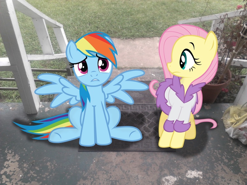 Size: 2048x1536 | Tagged: artist:tokkazutara1164, clothes, derpibooru import, fluttershy, irl, mat, photo, plant, ponies in real life, rainbow dash, robe, safe, steps, vector