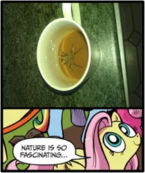 Size: 397x473 | Tagged: safe, derpibooru import, fluttershy, spider, coffee, exploitable meme, irony, meme, nature is so fascinating, nightmare fuel, nope, obligatory pony