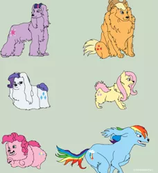 Size: 853x936 | Tagged: appledog, applejack, artist:sketch-shepherd, derpibooru import, dog, dogified, flutterdog, fluttershy, pinkie pie, puppy pie, rainbow dash, raridog, rarity, safe, species swap, twilight barkle, twilight sparkle