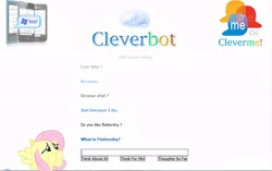 Size: 1008x634 | Tagged: cleverbot, derpibooru import, fluttershy, meme, sad, safe, stupid, text