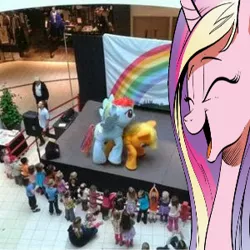 Size: 300x300 | Tagged: safe, derpibooru import, applejack, princess cadance, rainbow dash, appledash, cadance laughs at your misery, clothes, costume, exploitable meme, female, lesbian, live, meme, shipping