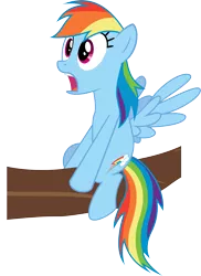 Size: 3110x4270 | Tagged: artist:baumkuchenpony, derpibooru import, may the best pet win, rainbow dash, safe, simple background, solo, transparent background, tree branch, vector