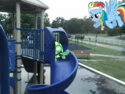 Size: 2048x1536 | Tagged: artist:tokkazutara1164, bench, derpibooru import, headband, irl, photo, playground, ponies in real life, rainbow dash, safe, slide, tank, vector, whistle