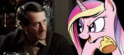 Size: 477x212 | Tagged: andre gregory, deeply intrigued cadance, idw, meme, my dinner with andre, princess cadance, safe