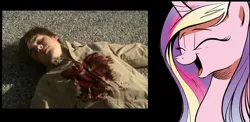 Size: 1042x508 | Tagged: blood, cadance laughs at your misery, dead, derpibooru import, exploitable meme, justin bieber, meme, obligatory pony, princess cadance, semi-grimdark