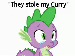 Size: 4000x3000 | Tagged: bronybait, crying, curry, derpibooru import, safe, solo, spike