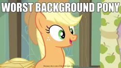 Size: 2560x1440 | Tagged: safe, derpibooru import, edit, edited screencap, screencap, applejack, earth pony, pony, abuse, background pony applejack, bait and switch, best pony, blatant lies, downvote bait, female, fine print, image macro, jackabuse, lies, mare, solo, text, worst pony