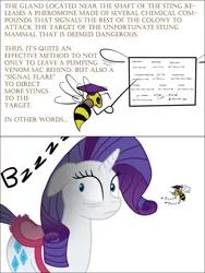 Size: 900x1200 | Tagged: artist:bsting, bee, bee fetish, derpibooru import, rarity, safe