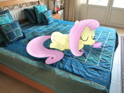 Size: 4608x3456 | Tagged: safe, artist:missbeigepony, artist:sunran80, derpibooru import, fluttershy, bed, house, irl, photo, ponies in real life, prone, sipping, solo, teacup, vector
