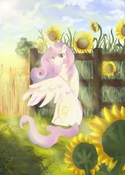 Size: 921x1284 | Tagged: safe, artist:nati789, derpibooru import, princess celestia, alicorn, pony, crepuscular rays, daytime, field, flower, garden, looking at you, looking back, looking over shoulder, outdoors, scenery, sitting, solo, sunflower, sunshine, wheat