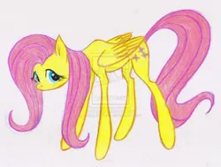 Size: 1024x774 | Tagged: dead source, safe, artist:jazz-dafunk, derpibooru import, fluttershy, pegasus, pony, deviantart watermark, female, mare, obtrusive watermark, simple background, solo, traditional art, watermark, white background