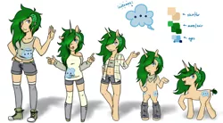 Size: 1024x564 | Tagged: safe, artist:twitchygreyfox, derpibooru import, oc, oc:splendid sigh, unofficial characters only, anthro, human, pony, unicorn, anthro chart, anthro with ponies, bipedal, chart, clothes, humanized, line-up, reference sheet, undercut