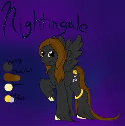 Size: 2376x2393 | Tagged: artist:nekodorei, bell, black, brown, cute, derpibooru import, music notes, nekodorei, oc, oc:nightingale, reference sheet, safe, solo, unofficial characters only