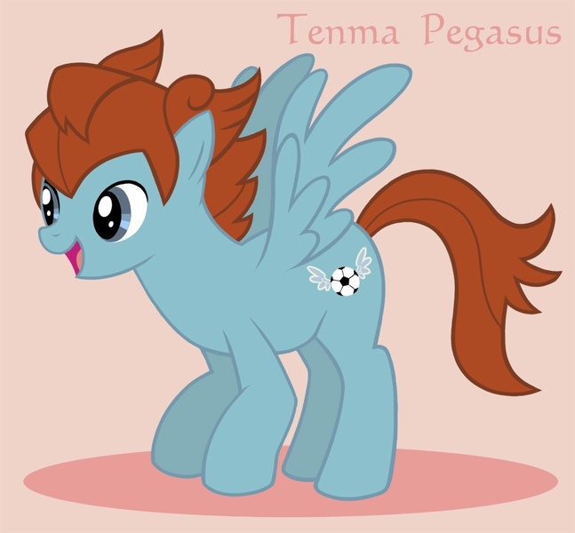 Size: 1000x927 | Tagged: safe, artist:hiina, derpibooru import, ponified, pegasus, pony, arion sherwind, cutie mark, football, inazuma eleven, inazuma eleven go, matsukaze tenma, solo