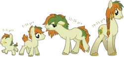 Size: 3397x1564 | Tagged: safe, artist:ivyhaze, derpibooru import, oc, unofficial characters only, earth pony, pony, age progression, baby, braid, chest fluff, colt, cute, ear fluff, ear piercing, earring, floppy ears, foal, frown, irish, jewelry, leg fluff, lidded eyes, lip piercing, long mane, looking at you, looking back, male, nose ring, open mouth, piercing, running, shamrock, smiling, solo, stallion, teenager, unshorn fetlocks