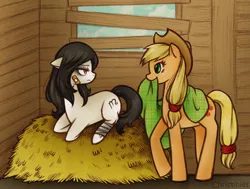 Size: 750x567 | Tagged: applejack, artist:christinies, blanket, derpibooru import, oc, oc:shadow moon, safe, straw