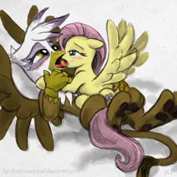 Size: 800x800 | Tagged: suggestive, artist:kp-shadowsquirrel, color edit, derpibooru import, edit, fluttershy, gilda, gryphon, blushing, colored, drool, female, gildashy, image, interspecies, kissing, lesbian, on back, paw pads, paws, png, shipping, sloppy kissing, spread wings, wings