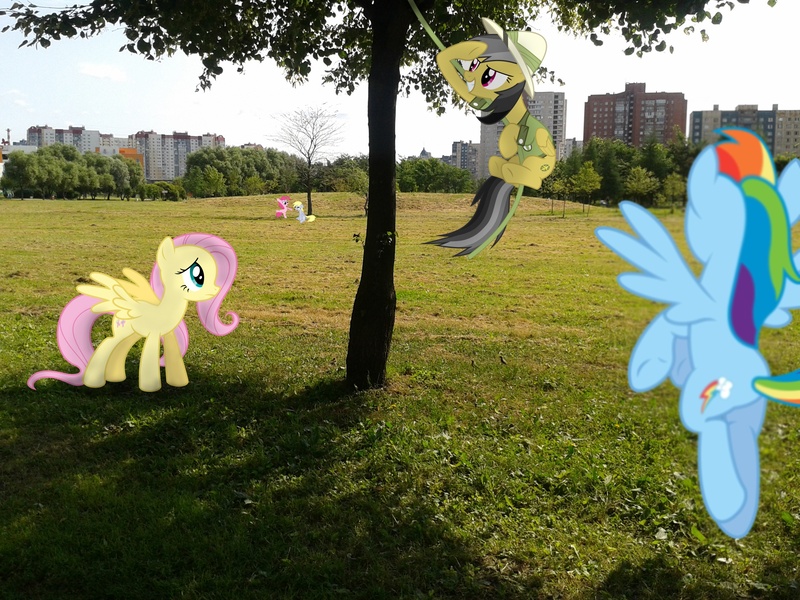 Size: 2560x1920 | Tagged: safe, artist:atlas-66, derpibooru import, daring do, derpy hooves, fluttershy, pinkie pie, rainbow dash, pegasus, pony, city, female, irl, mare, park, photo, ponies in real life, shadow, tree, vector