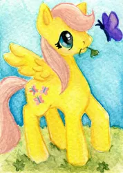 Size: 1472x2064 | Tagged: artist:rayechu, butterfly, derpibooru import, filly, fluttershy, safe, solo, traditional art