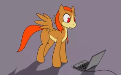 Size: 2560x1600 | Tagged: safe, artist:darkdoomer, derpibooru import, oc, oc:patachu, ponified, unofficial characters only, pegasus, pony, destroyed, keyboard, laptop computer, ms paint, toshiba