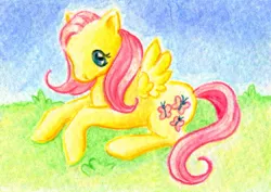 Size: 800x567 | Tagged: safe, artist:rayechu, derpibooru import, fluttershy, solo, traditional art