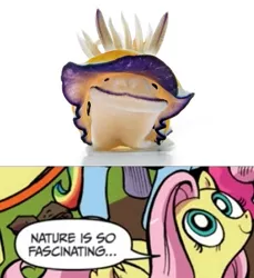 Size: 449x490 | Tagged: comic, derpibooru import, exploitable meme, fluttershy, idw, meme, nature is so fascinating, nudibranch, obligatory pony, safe, sea slug