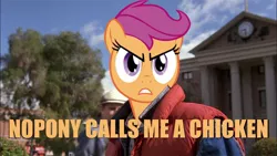 Size: 960x540 | Tagged: back to the future, caption, chicken, derpibooru import, human, image macro, irl, irl human, marty mcfly, meme, movie, orange text, photo, reference, safe, scootachicken, scootaloo, scootaloo is not amused, text