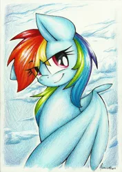 Size: 800x1130 | Tagged: safe, artist:moonlightfl, derpibooru import, rainbow dash, portrait, solo, traditional art