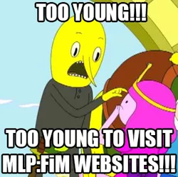 Size: 335x334 | Tagged: adventure time, brony, derpibooru import, image macro, lemongrab, meta, parody, princess bubblegum, safe, target demographic, text, too young