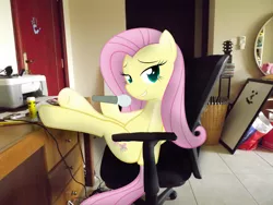 Size: 4288x3216 | Tagged: artist:missbeigepony, basket, bedroom eyes, cd, chair, derpibooru import, door, fluttershy, headphones, innocence.mov, irl, looking at you, microphone, mirror, photo, ponies in real life, safe, sitting, solo, vector